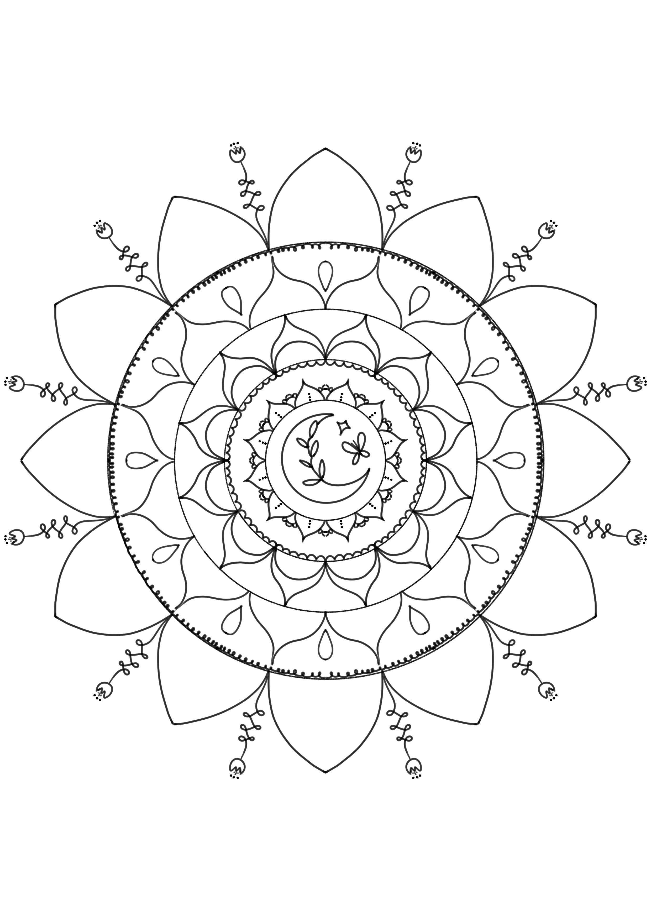 Mandala colouring book