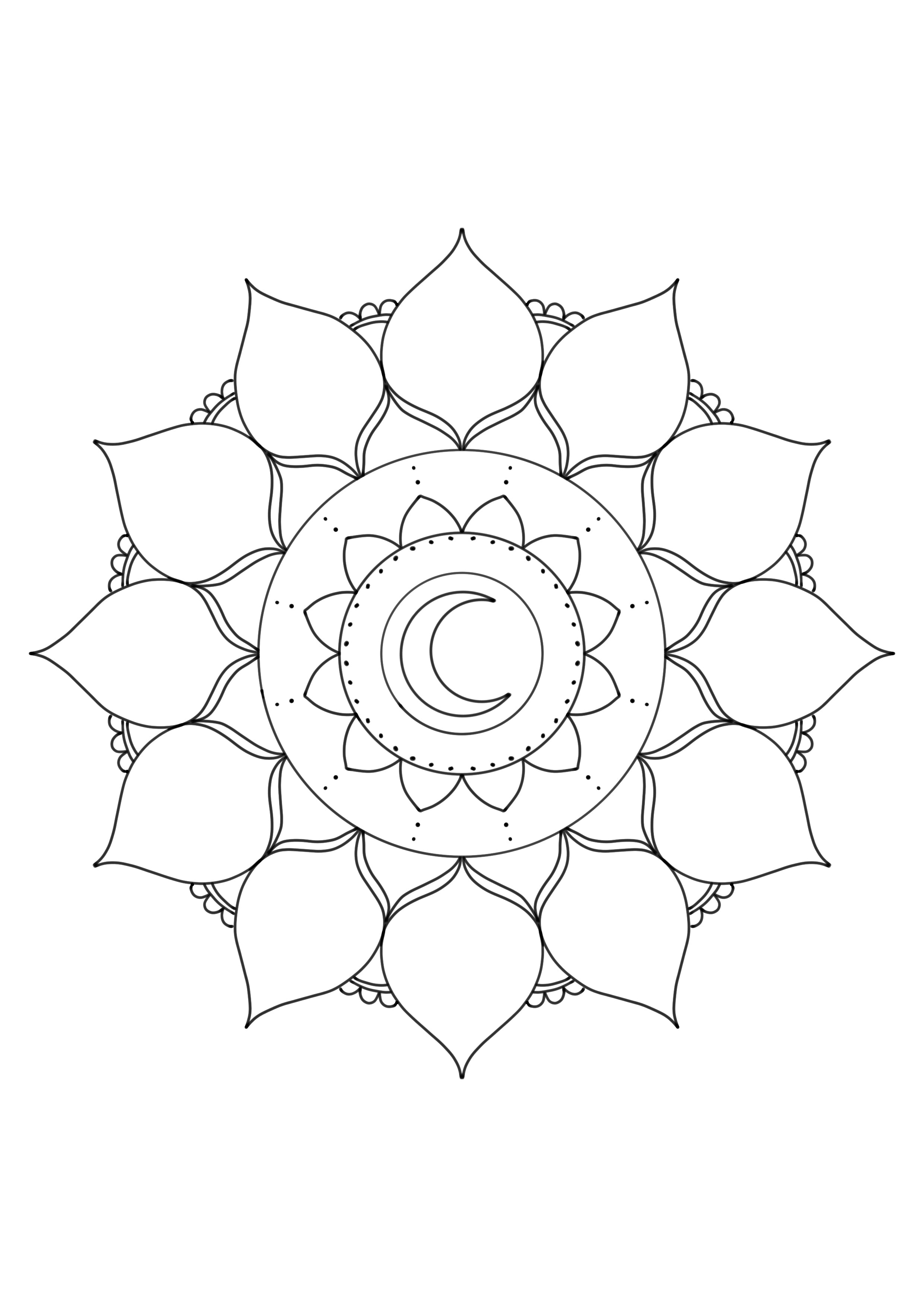 Mandala colouring book